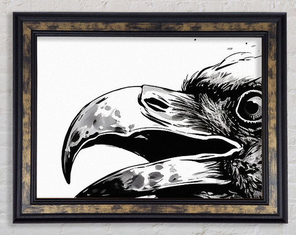 Crow Sketch Splash Framed Print