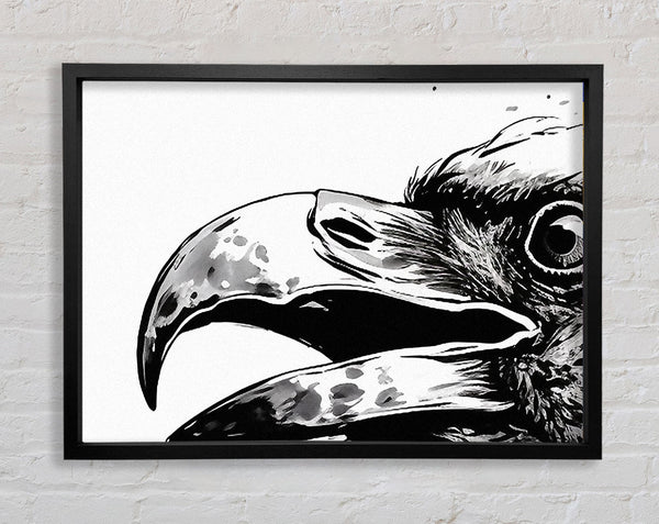 Crow Sketch Splash Framed Print