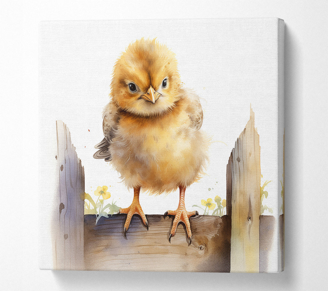  A Canvas Print of Cute Easter Chick Canvas Print