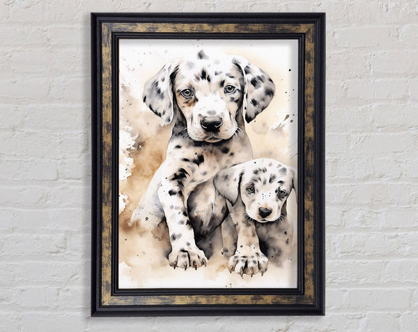 Dalmation Love Framed Print