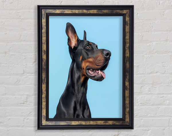 Doberman Blues Framed Print
