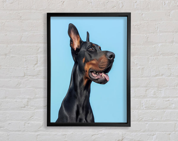 Doberman Blues Framed Print