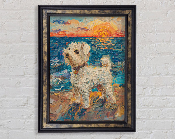 Dog At The Beach Framed Print