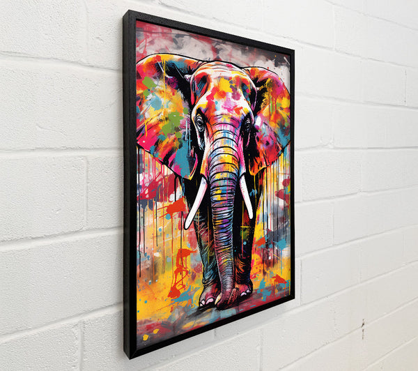 Elephant Paint Splash