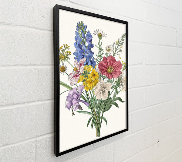 Flower Garden Foxglove