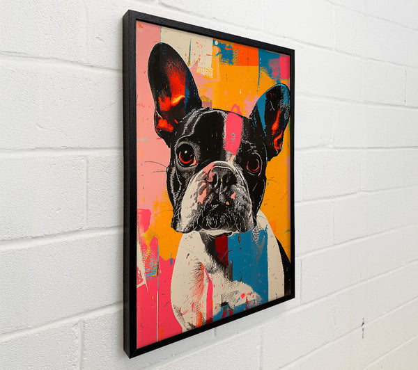 Pink Frenchie Frenzy