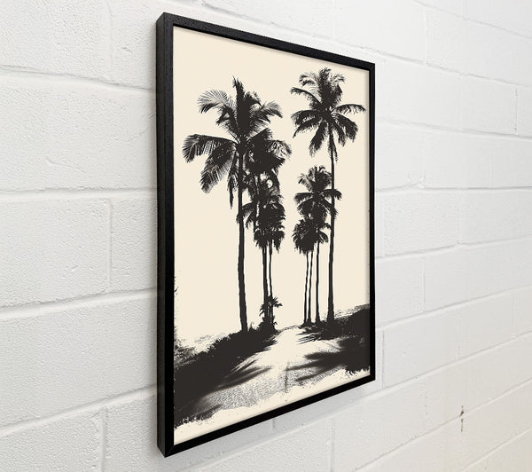 Cream Palm Avenue
