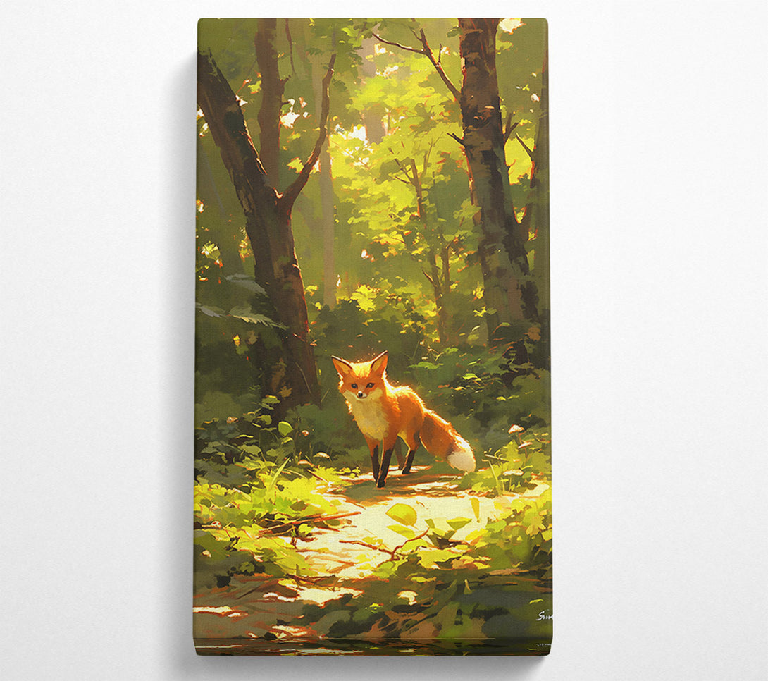  A Canvas Print of Golden Fox Path Canvas Print