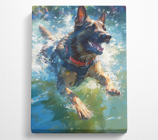  A Canvas Print of Golden Water Splash Canvas Print