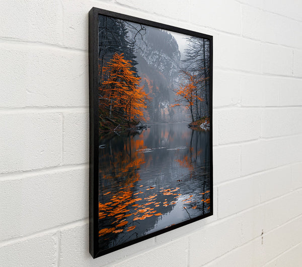 Orange Reflections On Water