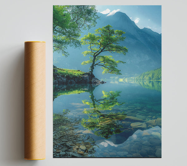 Azure Tree Reflection Poster