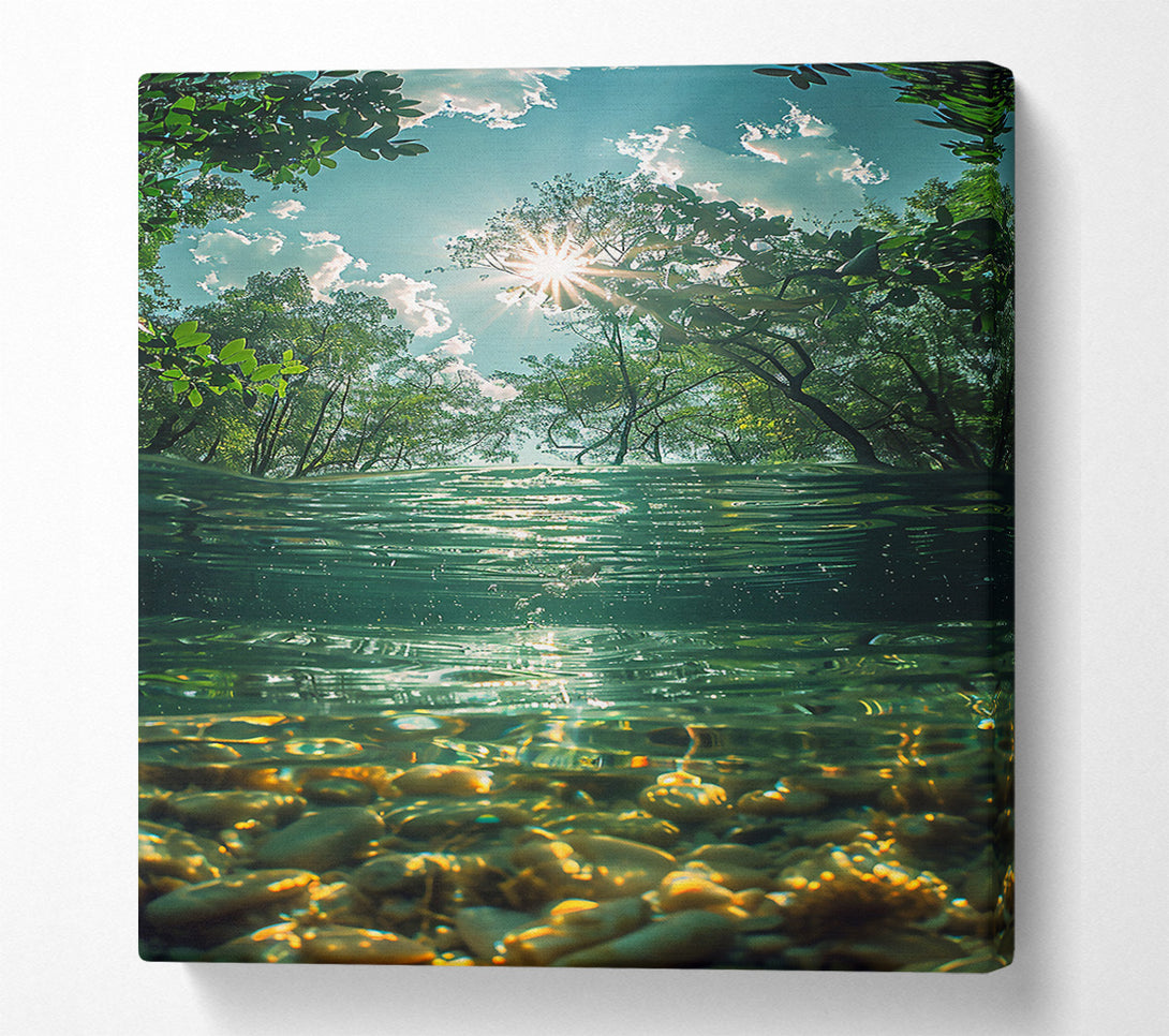  A Canvas Print of Golden Sunlit Waters Canvas Wall Art