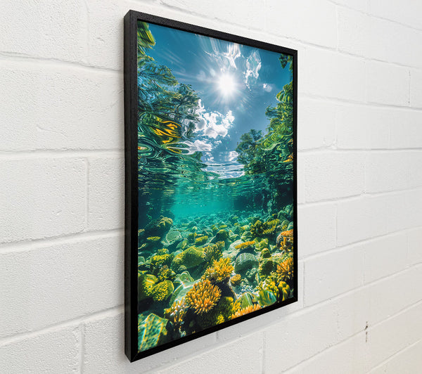 Golden Reef Reflection