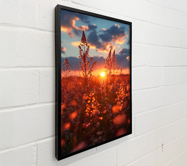 Golden Sunset Grass