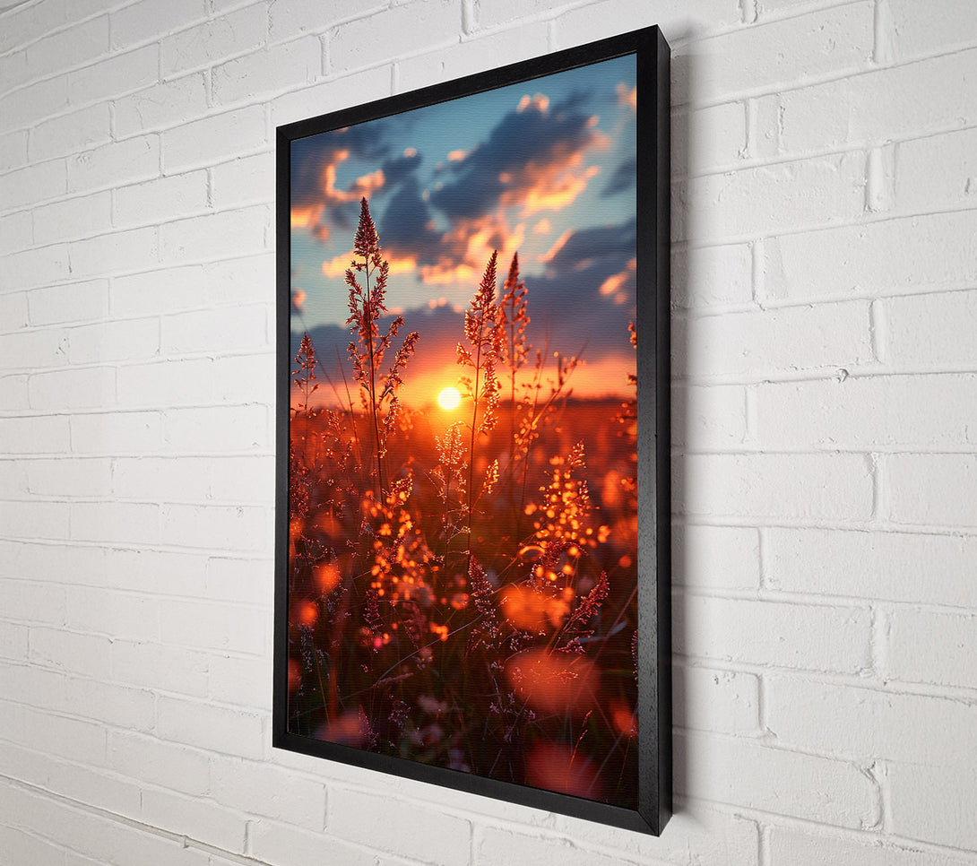  A Canvas Print of Golden Sunset Grass Canvas Art
