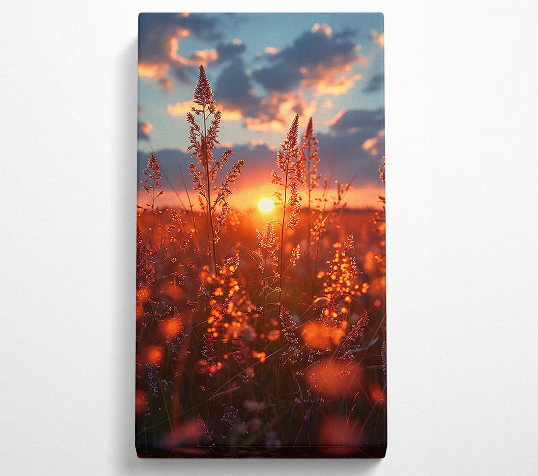  A Canvas Print of Golden Sunset Grass Canvas Art