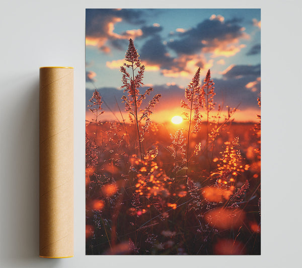 Golden Sunset Grass Poster