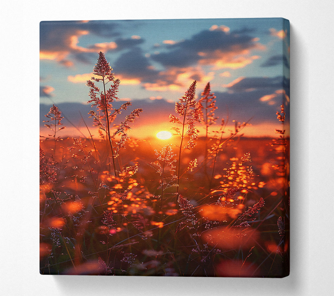  A Canvas Print of Golden Sunset Grass Canvas Art