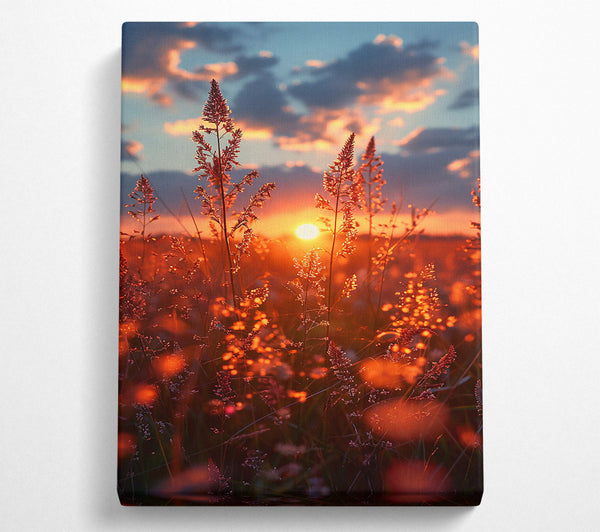  A Canvas Print of Golden Sunset Grass Canvas Art