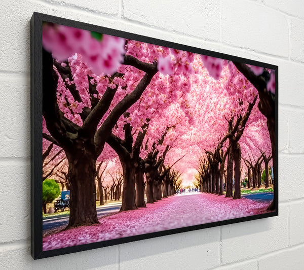 Pink Blossom Tunnel
