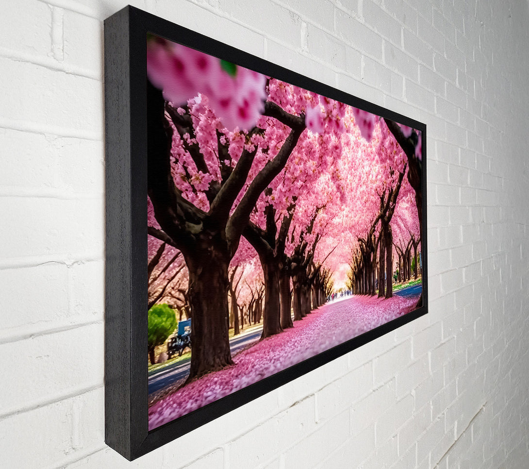  A Canvas Print of Pink Blossom Tunnel Canvas Print