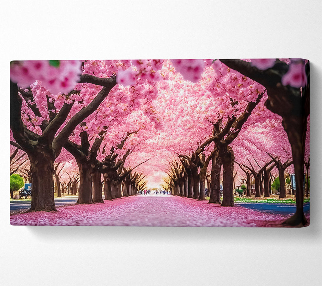  A Canvas Print of Pink Blossom Tunnel Canvas Print
