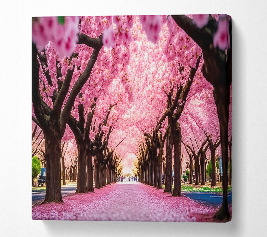  A Canvas Print of Pink Blossom Tunnel Canvas Print