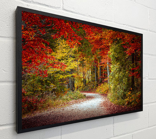 Crimson Fall Path