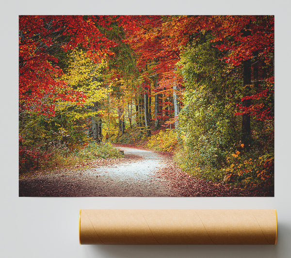 Crimson Fall Path Giclee Print
