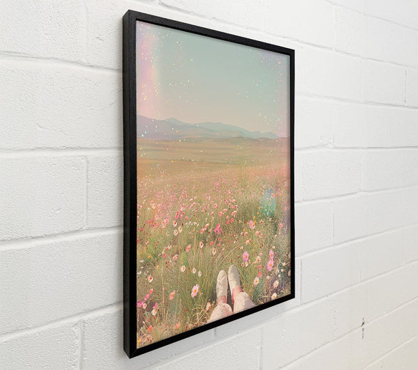 Pink Field Dreams
