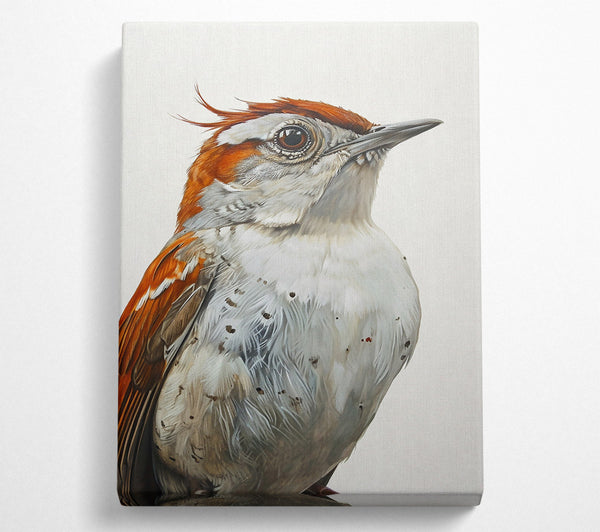 A Canvas Print of The Rusty Gaze Canvas Print