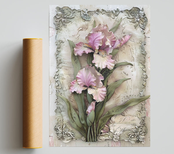 Powdered Pink Irises Print