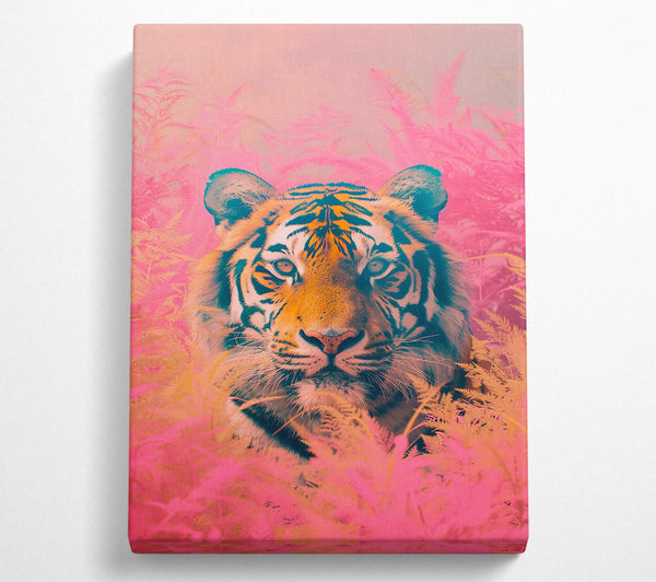  A Canvas Print of Pink Tiger Gaze Canvas Art