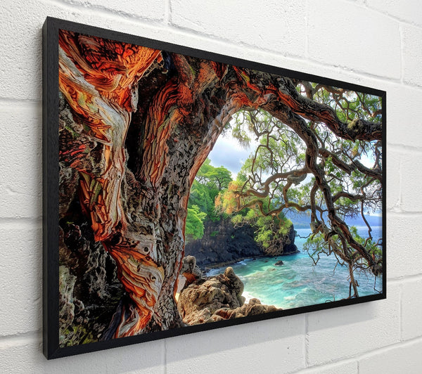Orange Bark Cove