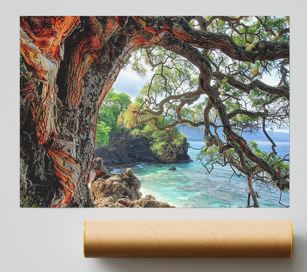 Orange Bark Cove Poster