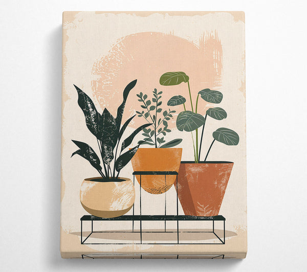  A Canvas Print of Peach Plant Stand Canvas Wall Art