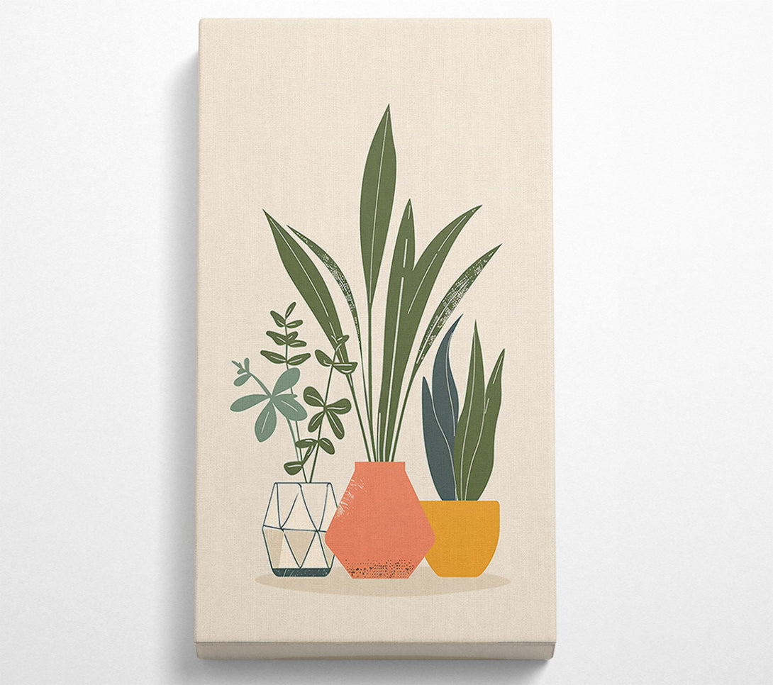  A Canvas Print of Coral Potted Plants Canvas Print