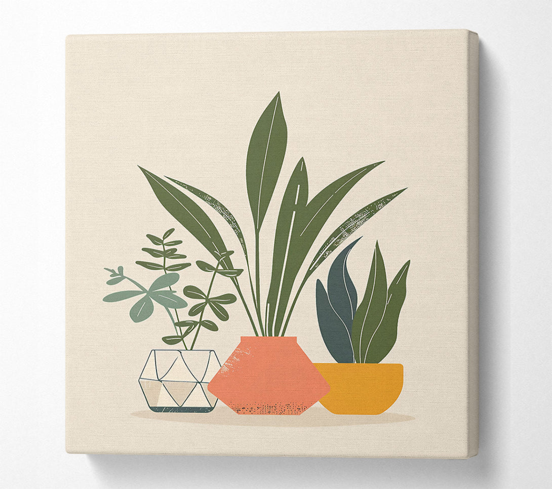  A Canvas Print of Coral Potted Plants Canvas Print