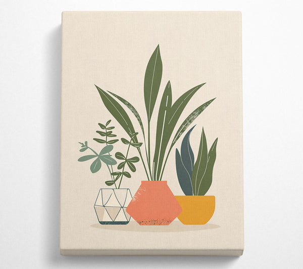  A Canvas Print of Coral Potted Plants Canvas Print