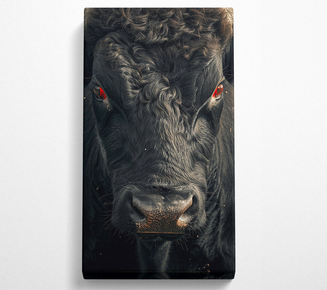  A Canvas Print of Black Bull Stare Canvas Print