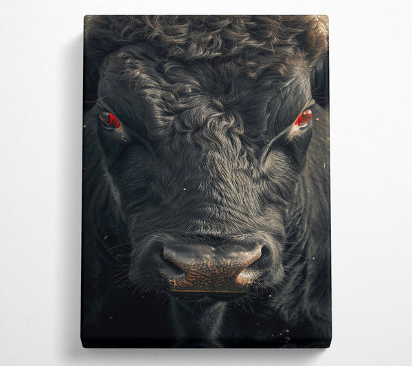  A Canvas Print of Black Bull Stare Canvas Print