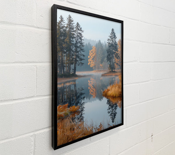 Golden Reflections In Mist