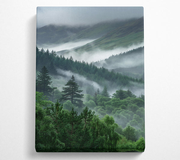  A Canvas Print of Emerald Foggy Hills Canvas Print