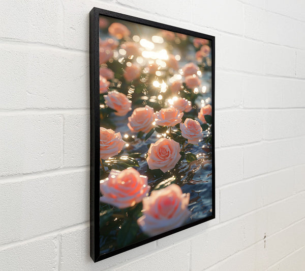 Peach Sunlit Roses