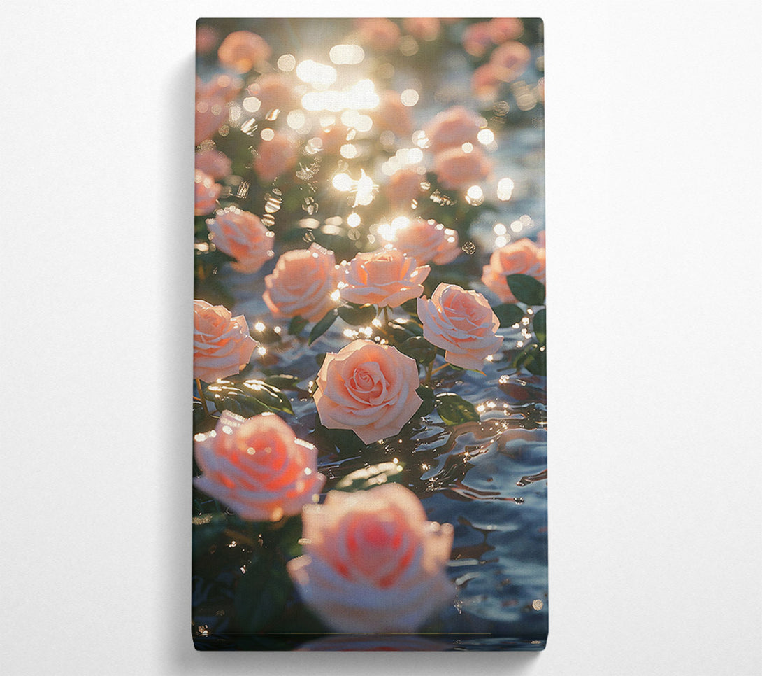  A Canvas Print of Peach Sunlit Roses Canvas Wall Art