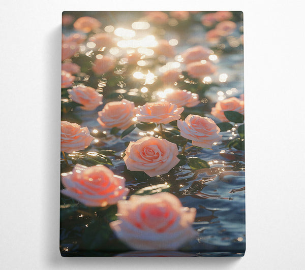  A Canvas Print of Peach Sunlit Roses Canvas Wall Art