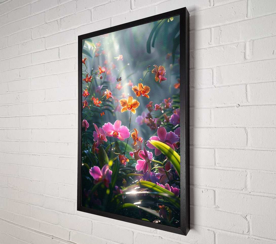  A Canvas Print of Pink Orchid Sunlight Canvas Print