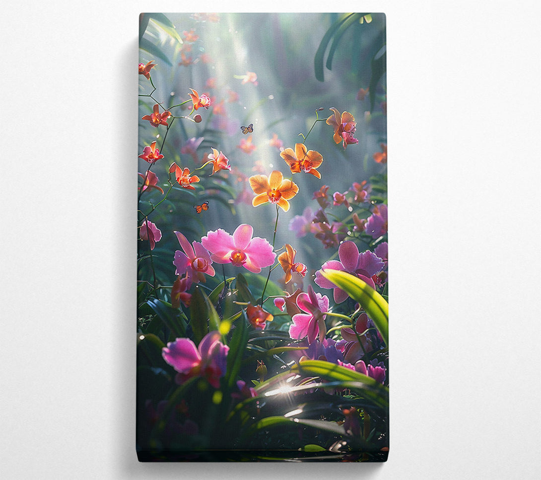  A Canvas Print of Pink Orchid Sunlight Canvas Print