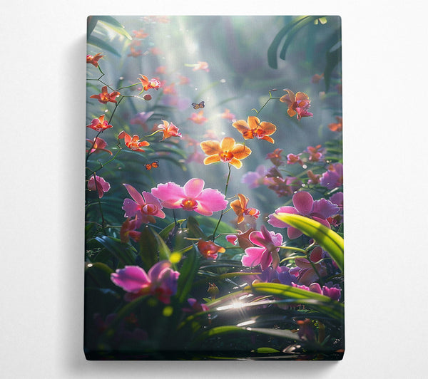 A Canvas Print of Pink Orchid Sunlight Canvas Print
