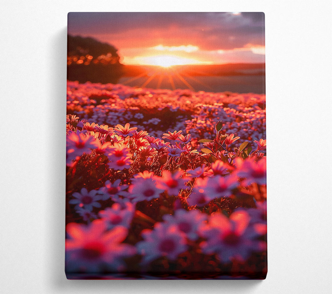  A Canvas Print of Orange Sunset Blooms Canvas Print